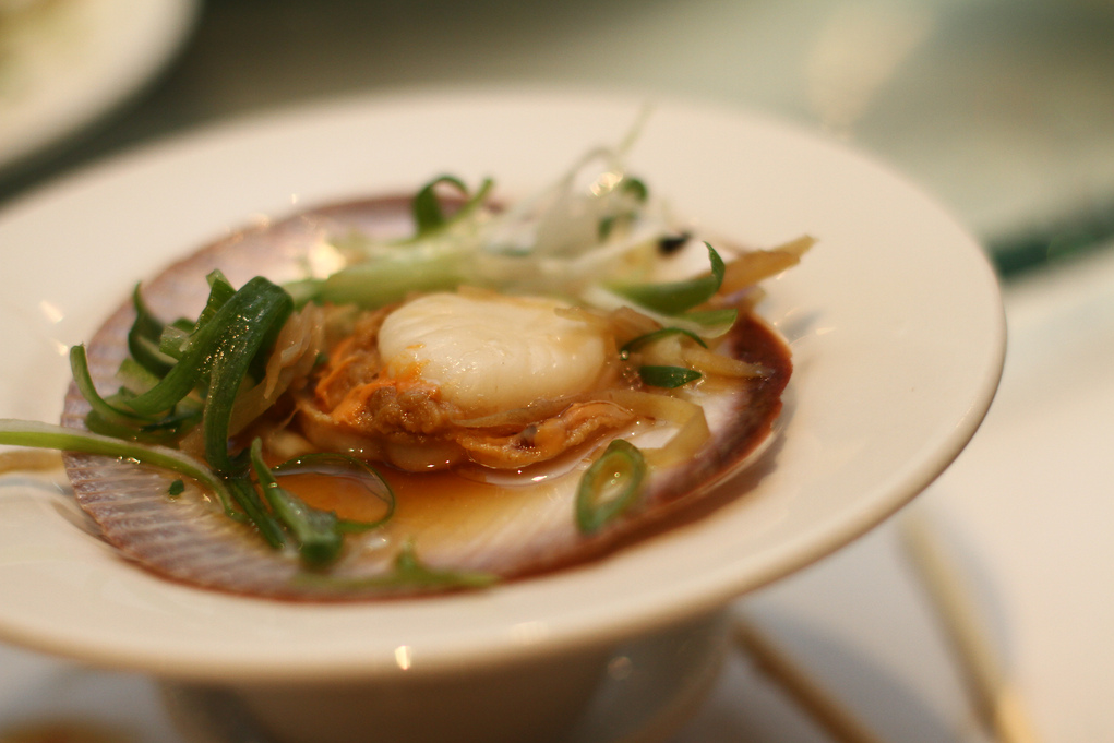 Scallop, Ginger & Shallots at Golden Century | Ms G’s Executive Chef Dan Hong on Sydney Food and his favourite off-duty eats | meltingbutter.com